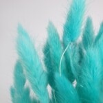 Лагурус сухоцвет голубой