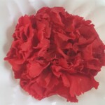 Гвоздика стабилизированная красная