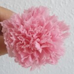 Гвоздика стабилизированная розовая