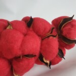 Хлопок на ветке красный