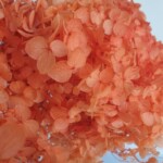 Гортензия стабилизированная, оранжевая