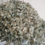 Гортензия стабилизированная, полынь