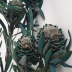 Леукодендрон стабилизированный зелено-голубой