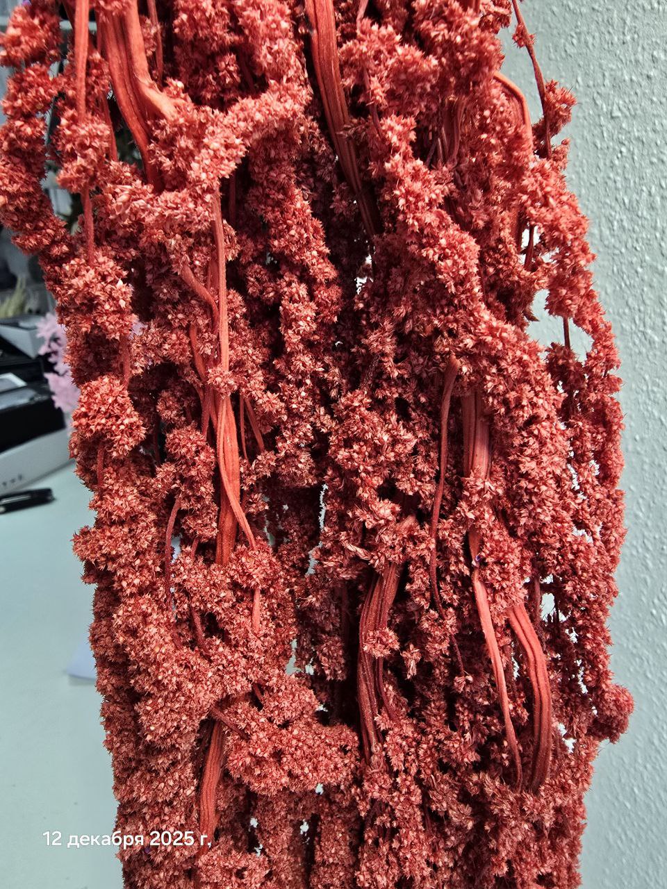 бордо3 Амарант стабилизированный бордовый — изображение 1