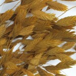 Хасматиум стабилизированный горчичный