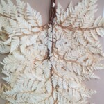 Листья папоротника стабилизированные молочные