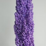 Сорго стабилизированный фиолетовый