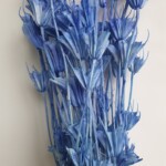 Нигелла сухоцвет фиолетовый