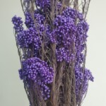 Озотамнус стабилизированный ультрамарин