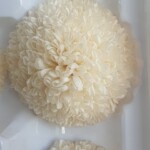 Хризантема пинг-понг стабилизированная белая