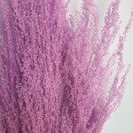 Полынь стабилизированная фиолетовая