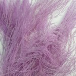 Папоротник тики (аспидиум) фиолетовый