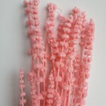 Пустырник стабилизированный розовый персик