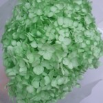 Гортензия стабилизированная светло-салатовая