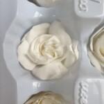 Гардения стабилизированная белая