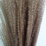 Мискантус сухоцвет натуральный