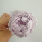 Роза пионовидная стабилизированная нежно-лиловая