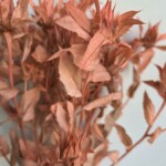 Сафлор стабилизированный карамельный