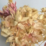 Сафлор стабилизированный сиренево-бежевый