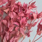 Сафлор стабилизированный ярко-розовый