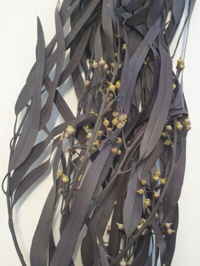 Эвкалипт стабилизированный "Николи" баклажан