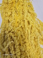 Амарант стабилизированный желтый