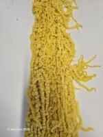 Амарант стабилизированный желтый — изображение 2